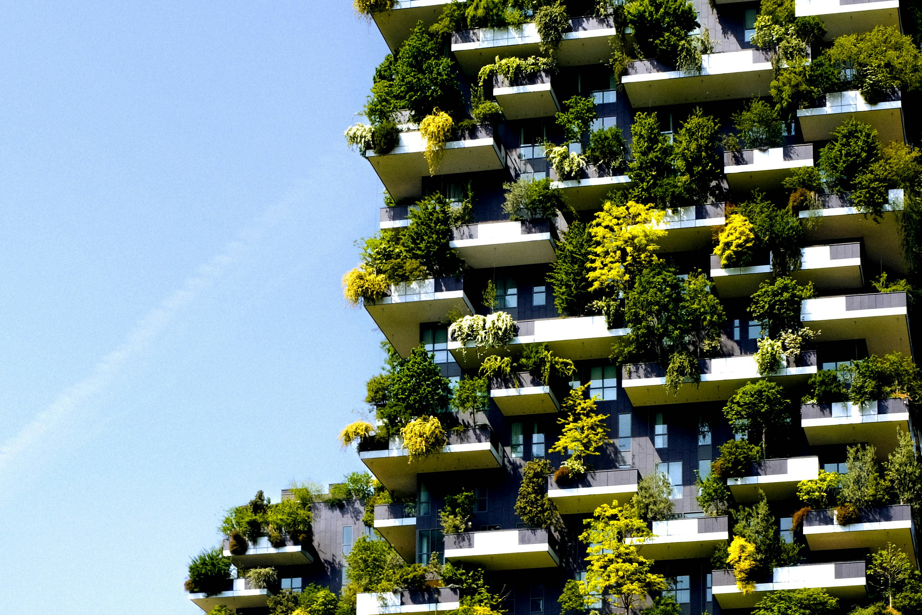 Vertical-forest building facade
